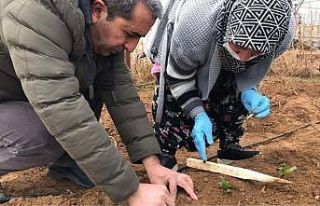 Çiftçilere mazot ve gübre desteği ödemeleri başladı