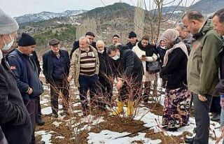Çiftçiye yaban mersini budama ve gübreleme eğitimi