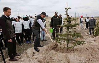 Çorum’da 70 milyon 500 bin fidan toprakla buluştu