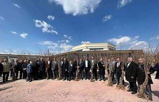 Çorum’da süne ile mücadele çerçevesinde 7 bin...