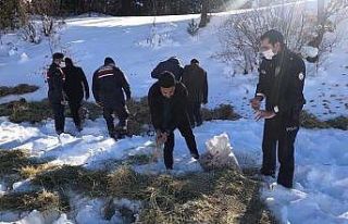 Daday’da yaban hayvanları için doğaya yem bırakıldı