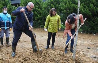 Daha yeşil bir çevre için fidan diktiler