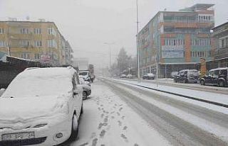 Denizli baharı kar ile karşılandı