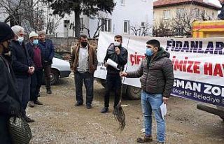 Denizli’de 2017’den bugüne kadar 380 bin ceviz...