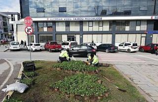 Derince’de peyzaj çalışmaları devam ediyor