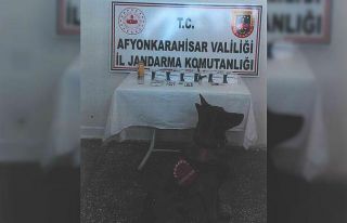 Devriye gezen jandarma uyuşturucu ele geçirdi