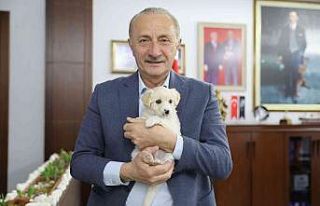 Didim’de can dostlar emin ellerde