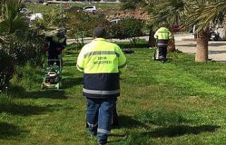 Didim’de yeşil alanlarda çalışmalar devam ediyor