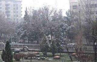 Diyarbakır, Mart ortasında beyaza büründü