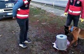 Diyarbakır’da emanet olarak gönderilen özel tasarımlı...