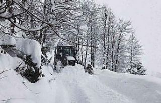 Doğu Karadeniz’de kış