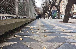 Duyarsızca atılan ekmek kırıntıları kaldırımlarda...