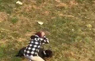 Düzce’de köpeğe şiddet uygulayan şahıs gözaltına...