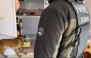 Edirne’de uyuşturucu operasyonunda 11 adrese baskın...