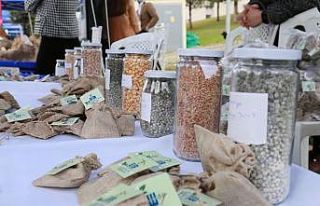 Edremit’in atalık tohumları İzmir’de ilgi gördü