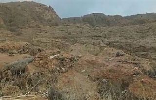 Elazığ’da koruma altındaki dağ keçileri sürü...