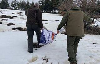 Elazığ’da yaban hayvanları için doğaya yem...