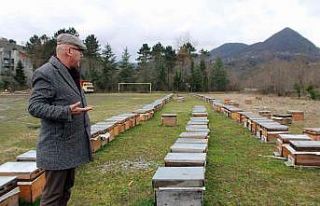Elevli "Tarımda rekolte ve randıman için arıcılık...