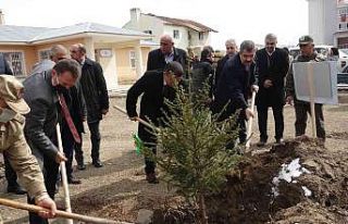 Erciş’te fidan dikimi