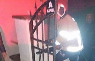 Erdek’te kapı demirine sıkışan köpeğin imdadına...