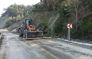 Eriyen kar heyelana sebep oldu