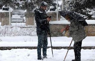 Erzincan’da yaşlı nüfusun toplam nüfus içindeki...