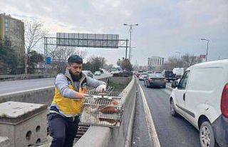 Esenler’de otobanda demirler arasında sıkışan...