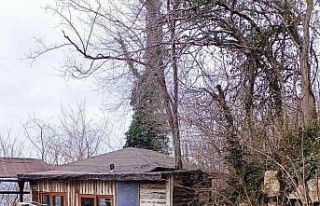 Fatsa’da patpat kazası: 1 ölü, 2 yaralı