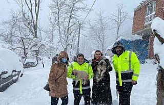 Fatsa’da sokak hayvanları unutulmadı