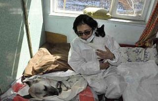 Felçli köpeğe ’anne’ şefkati