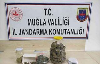 Fethiye’de uyuşturucu operasyonu: 2 gözaltı