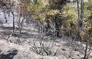 Fethiye’deki yangın kısmen kontrol altına alındı