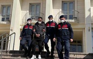 Firari hükümlüyü Jandarma yakaladı