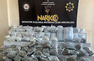 Gaziantep’te 59 kilo skunk maddesi ele geçirildi