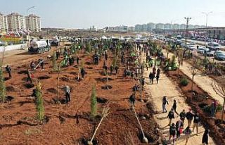 Gaziantep’te şehit isimleri ağaçlarda yaşatılacak