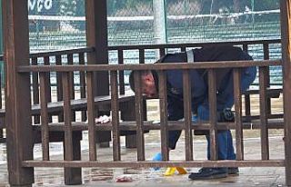 Gençlerin kamelyadaki kavgasında kan aktı