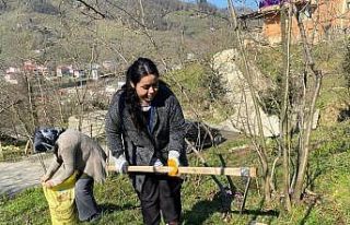 Giresun’da “Örnek Fındık Bahçesi” projesi...