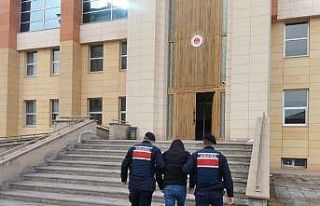 Gizemli hırsız yakayı ele verdi