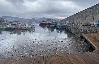 Görenler şaşkına döndü, plastik atıklar denizin...