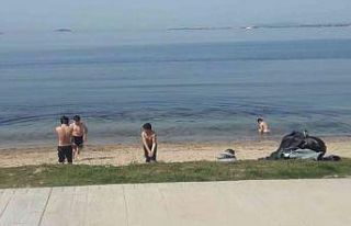 Güneşi fırsat bilen çocuklar denize girdi