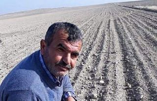 Günyüzü ilçesinde saman balyası dolandırıcılığı...