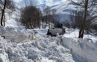 Hakkari’de 15 yerleşim yerinin yolu ulaşıma kapandı