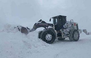 Hakkari’de 30 yerleşim yerinin yolu ulaşıma kapandı