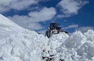 Hakkari’de 84 yerleşim yerinin yolu ulaşıma kapandı