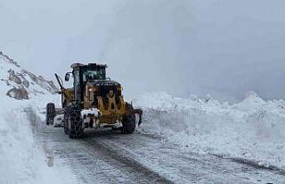 Hakkari’de 89 yerleşim yerinin yolu ulaşıma kapandı