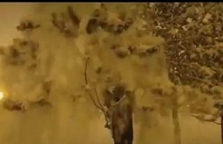 Hakkari’de vatandaşlar karın keyfini çıkardı