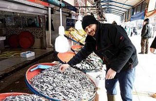Hamsinin kulağına kar suyu kaçtı