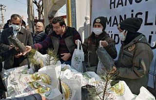 Hanönü’de vatandaşlara ücretsiz fidan dağıtıldı