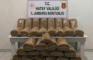 Hatay’da 230 kilogram kaçak tütün ele geçirildi