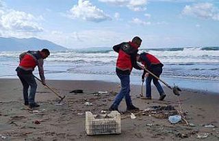 Hatay’da sahile vuran ölü denizanaları incelemeye...